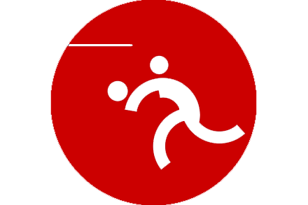 Bola Volly Indoor